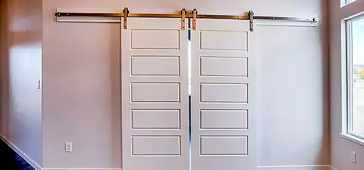 Glass Barn Door with Installation Hardware Kit Schertz
